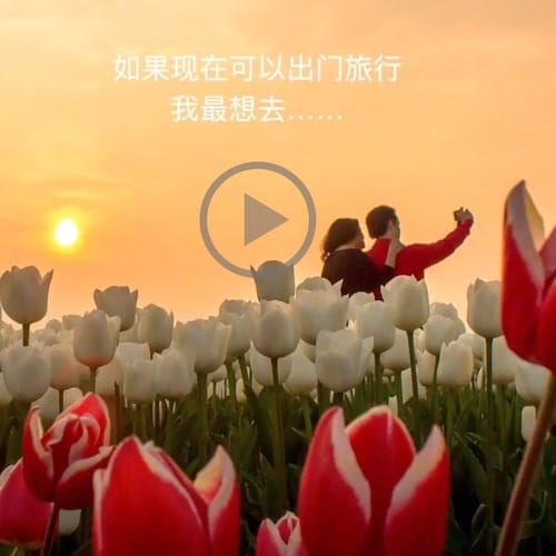 Netherlands Tourism - Video Screenshot (Featured Image) Netherlands Tourism - Video Screenshot (Featured Image)