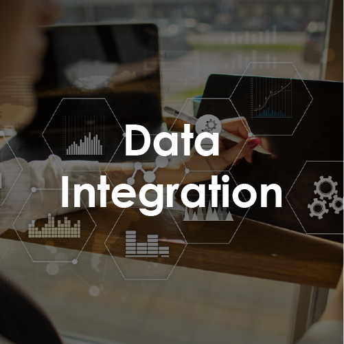 Data Services - Data Integration