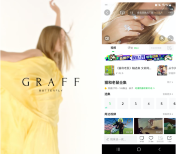 Graff Brand Awareness Case Study Example