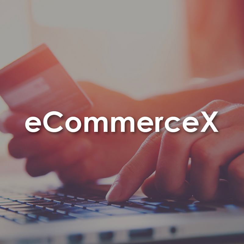 e-commerceX-en