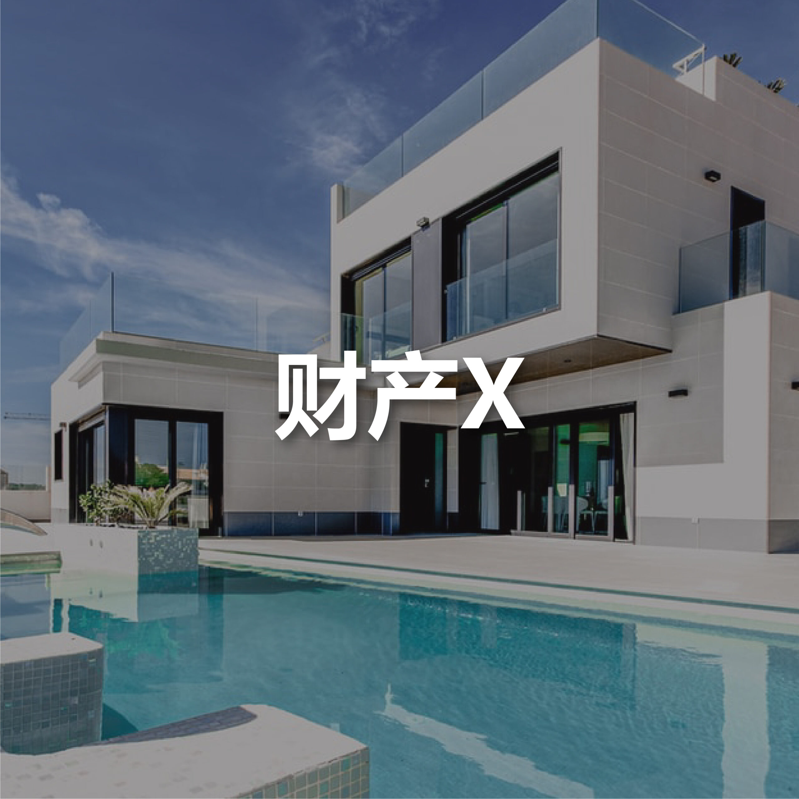 propertyX-zh-s