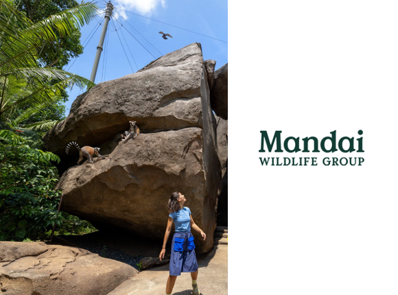 Mandai_Website Case Study_featured image_580x430_Template